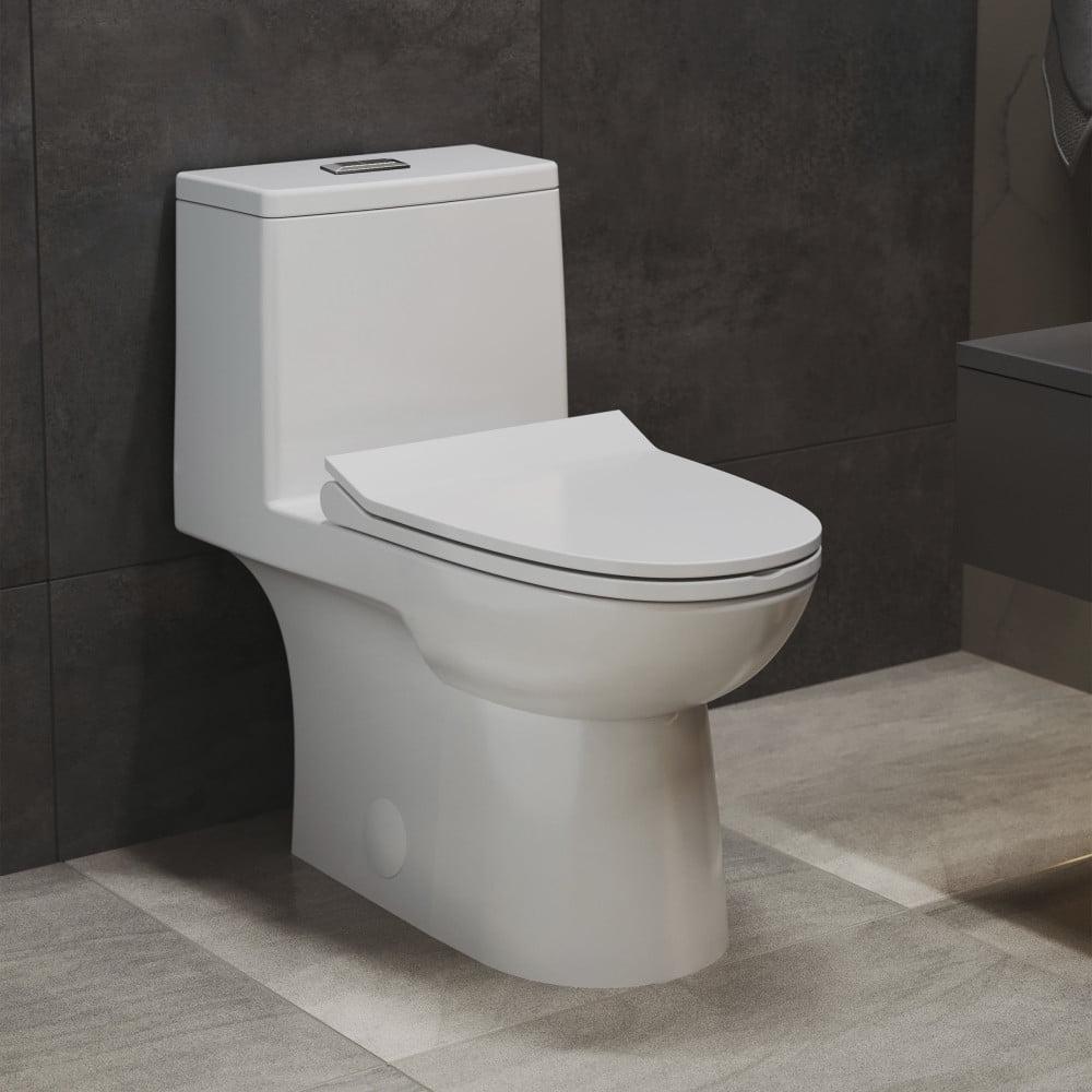 Daxton One-Piece Elongated Dual-Flush Toilet 1.1/1.6 gpf