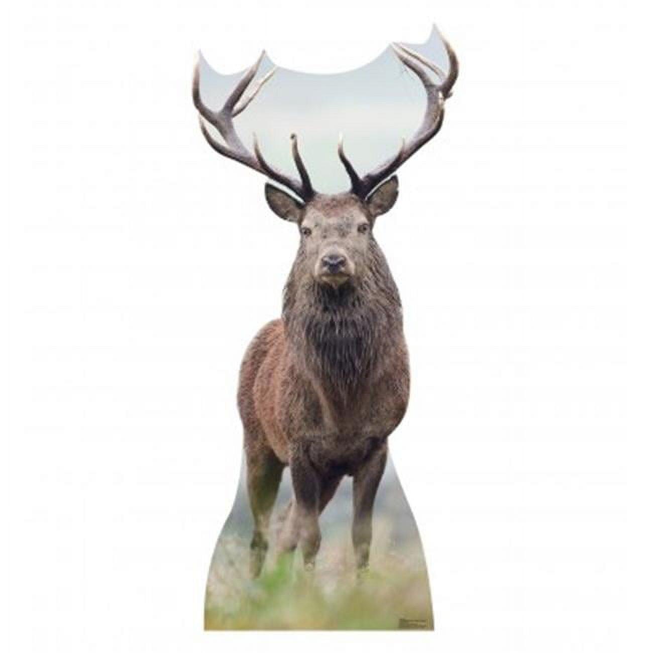 Deer Cardboard Standup 72 x 31 in.