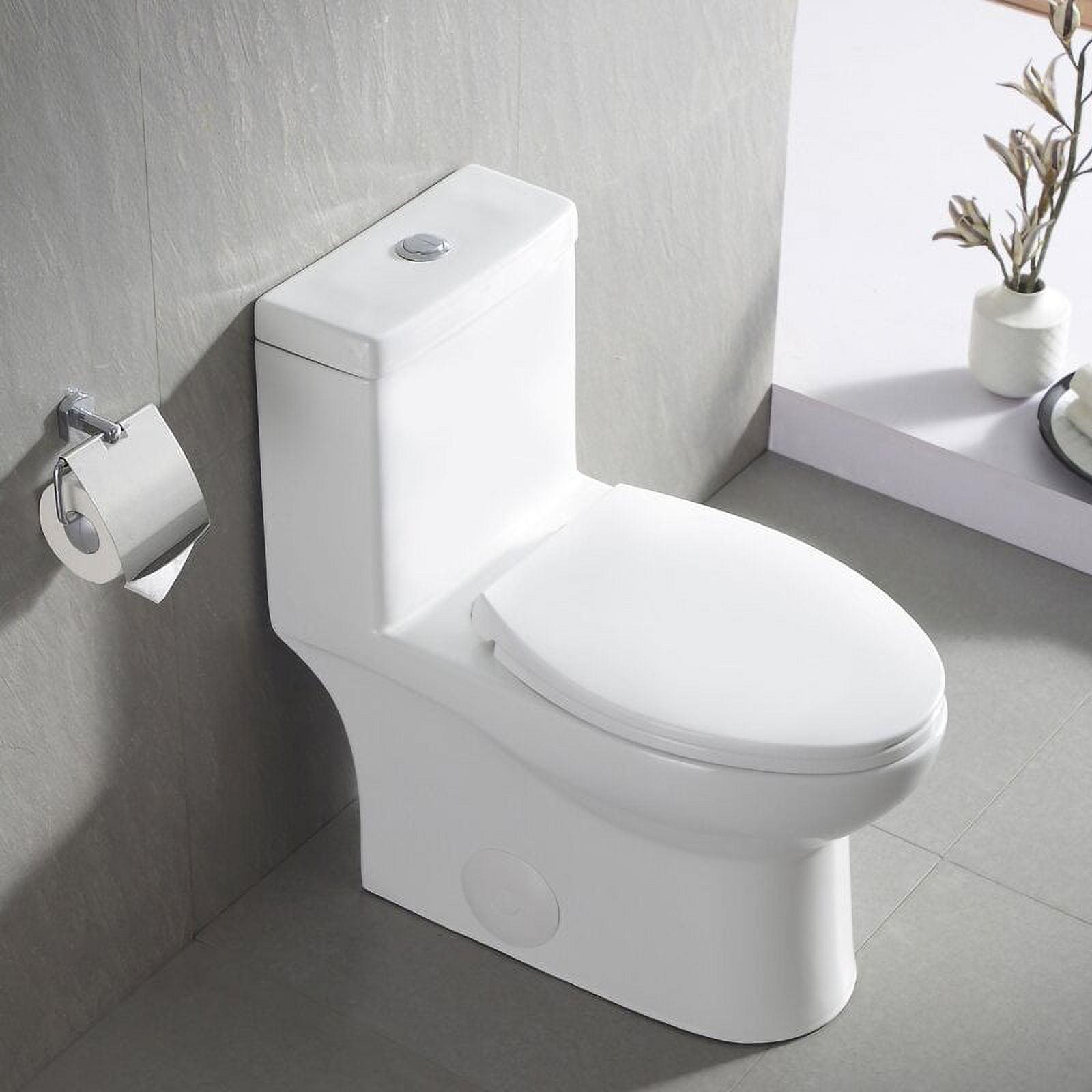 Ally Dual-Flush Elongated One-Piece Toilet with Glazed Surface Modern Toilet with Comfort Seat Height(Seat Included)