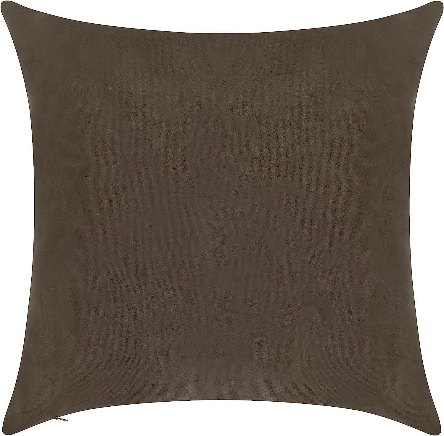 Delara Velvet Decorative Throw Pillow Cover 20 x 20 Inches (Set of 1)