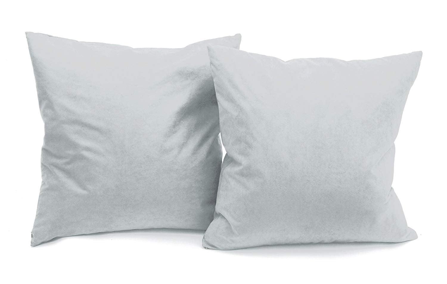 Deluxe Comfort Feather Throw Pillow (Set of 2)