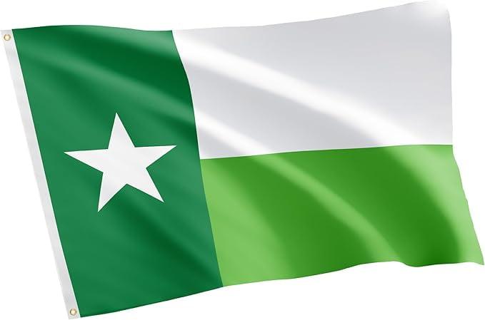 North Texas Mean Green 3x5 Polyester Patriotic Flag