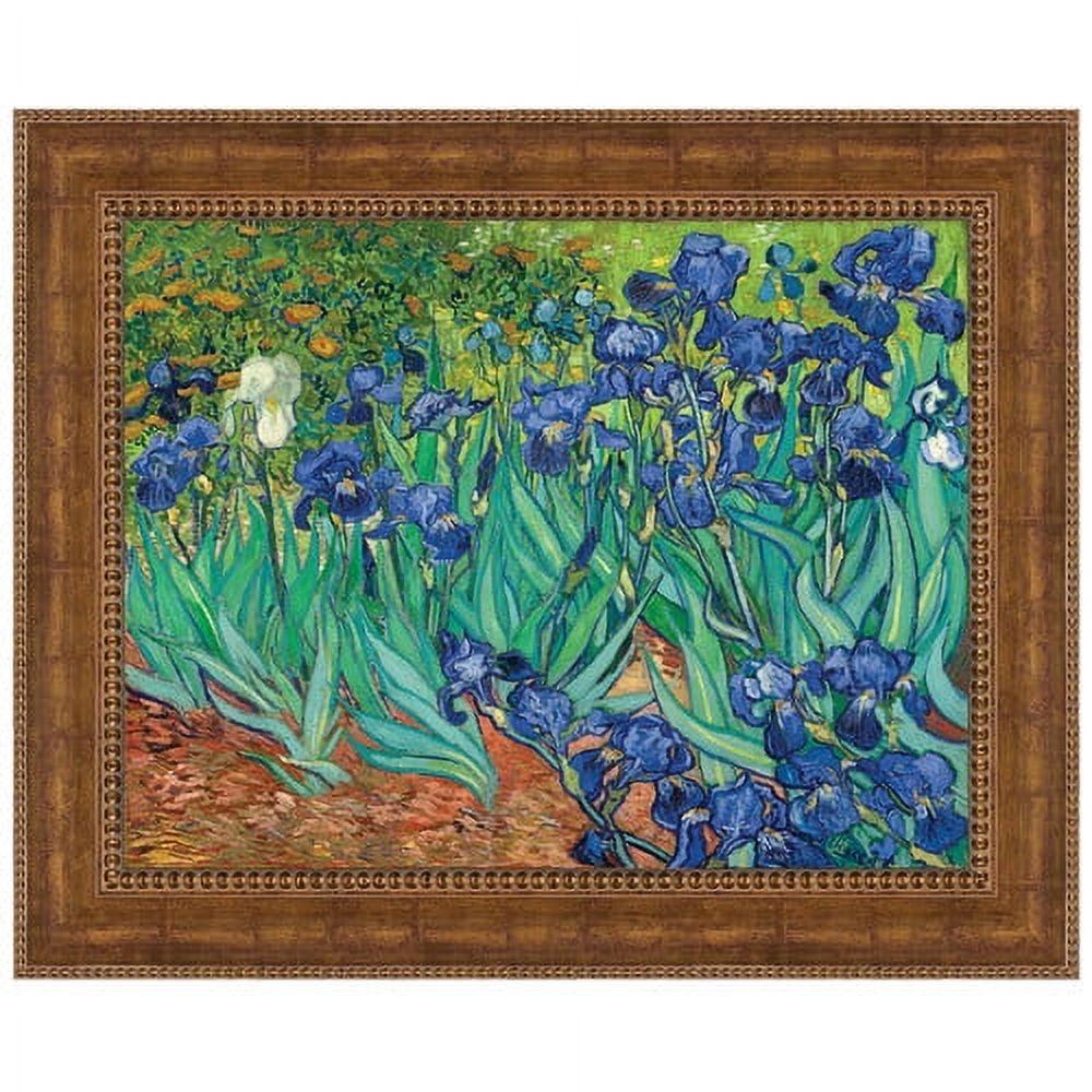 Vault W Artwork " Irises, 1889 " by Vincent Van Gogh