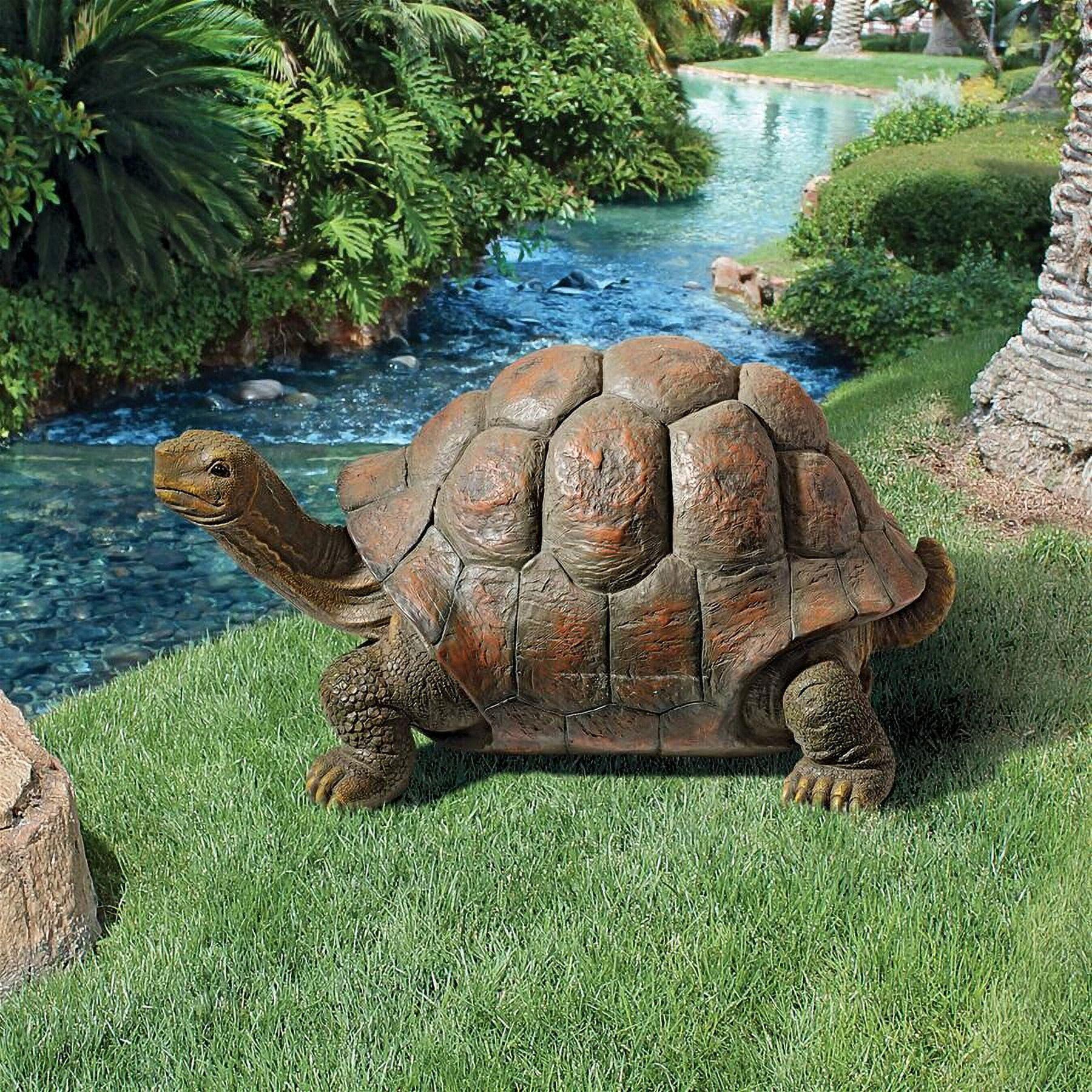 Design Toscano The Cagey Tortoise Statue