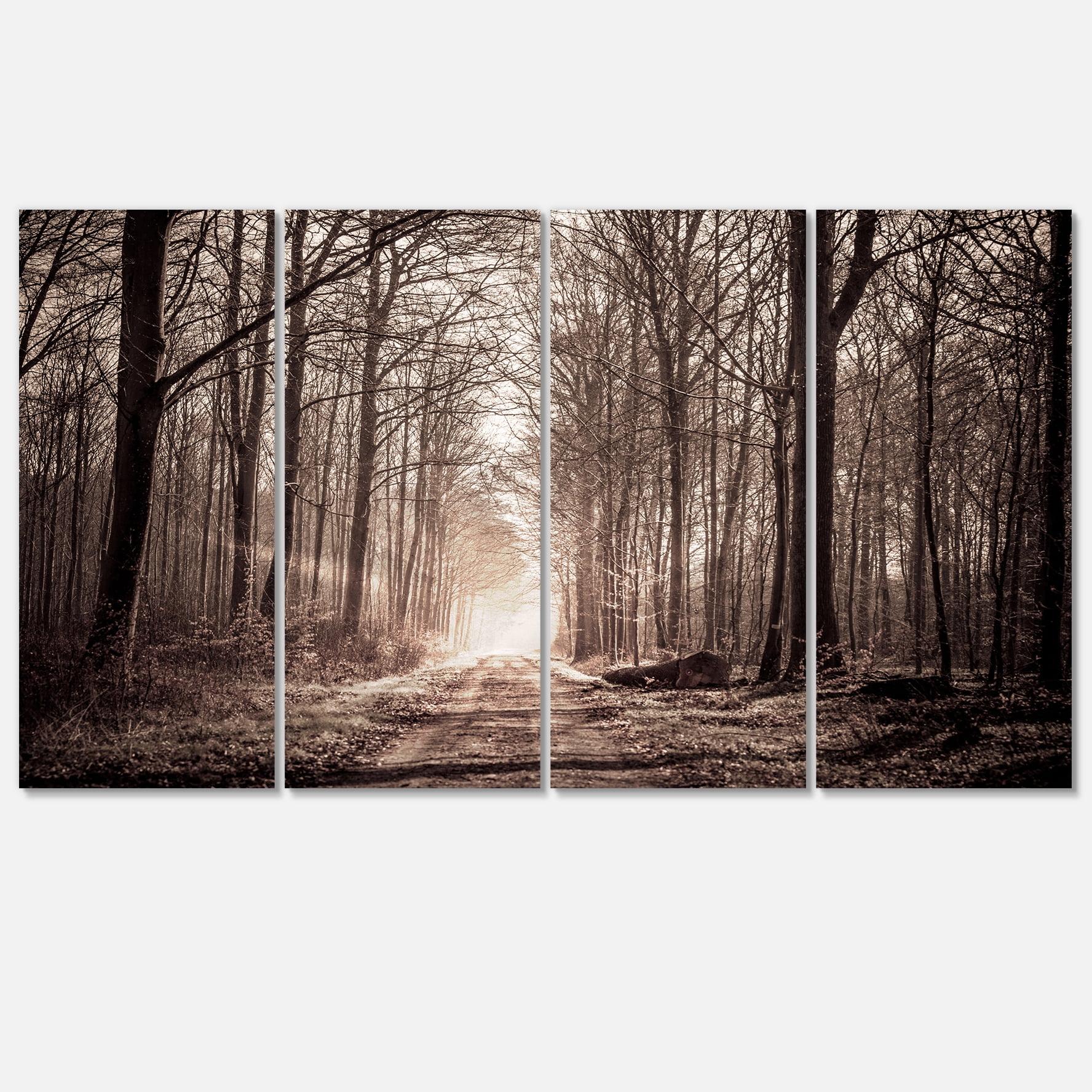 Sepia Forest Trail 48"x28" 4-Panel Canvas Art