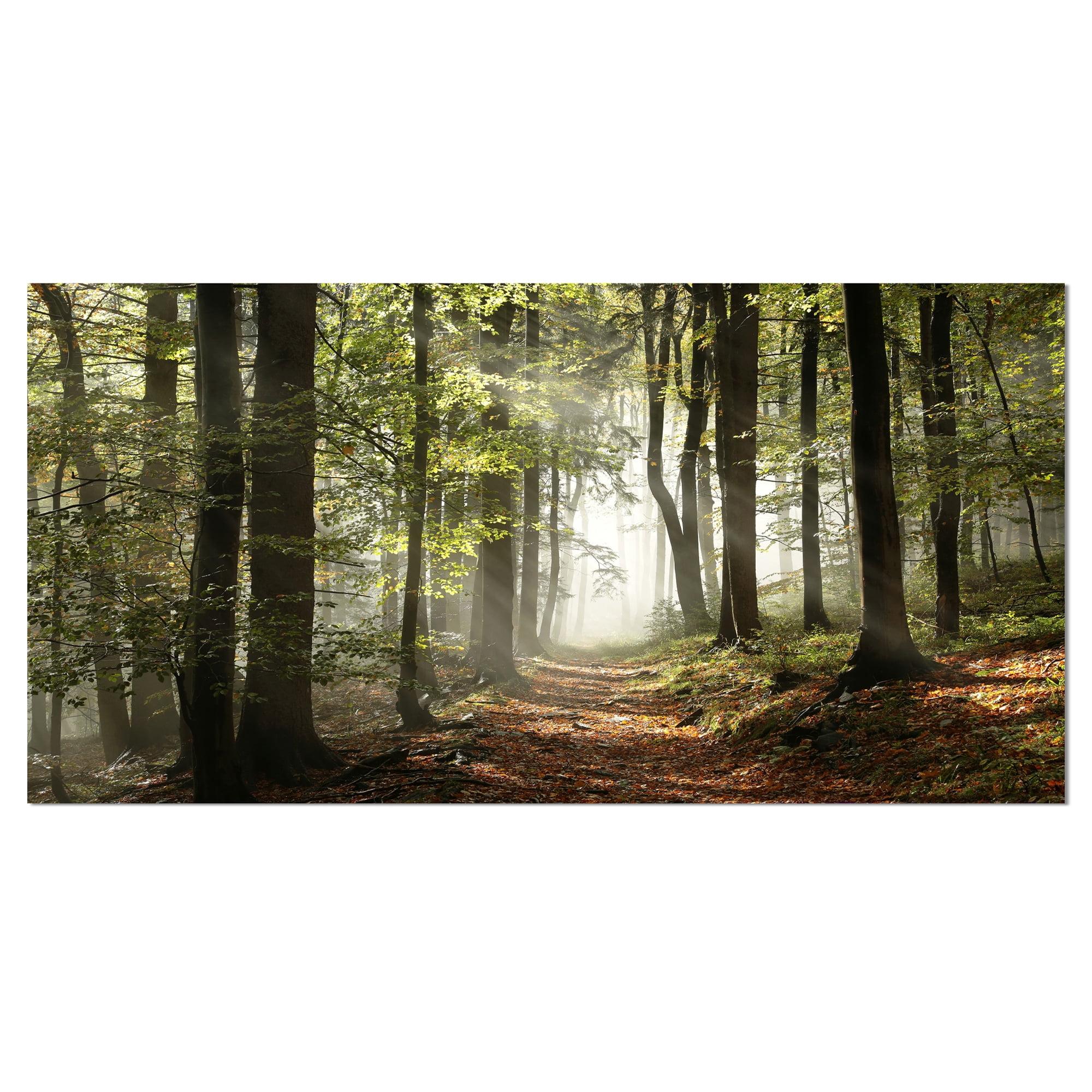 Green Fall Forest with Sun Rays Landscape Canvas Print