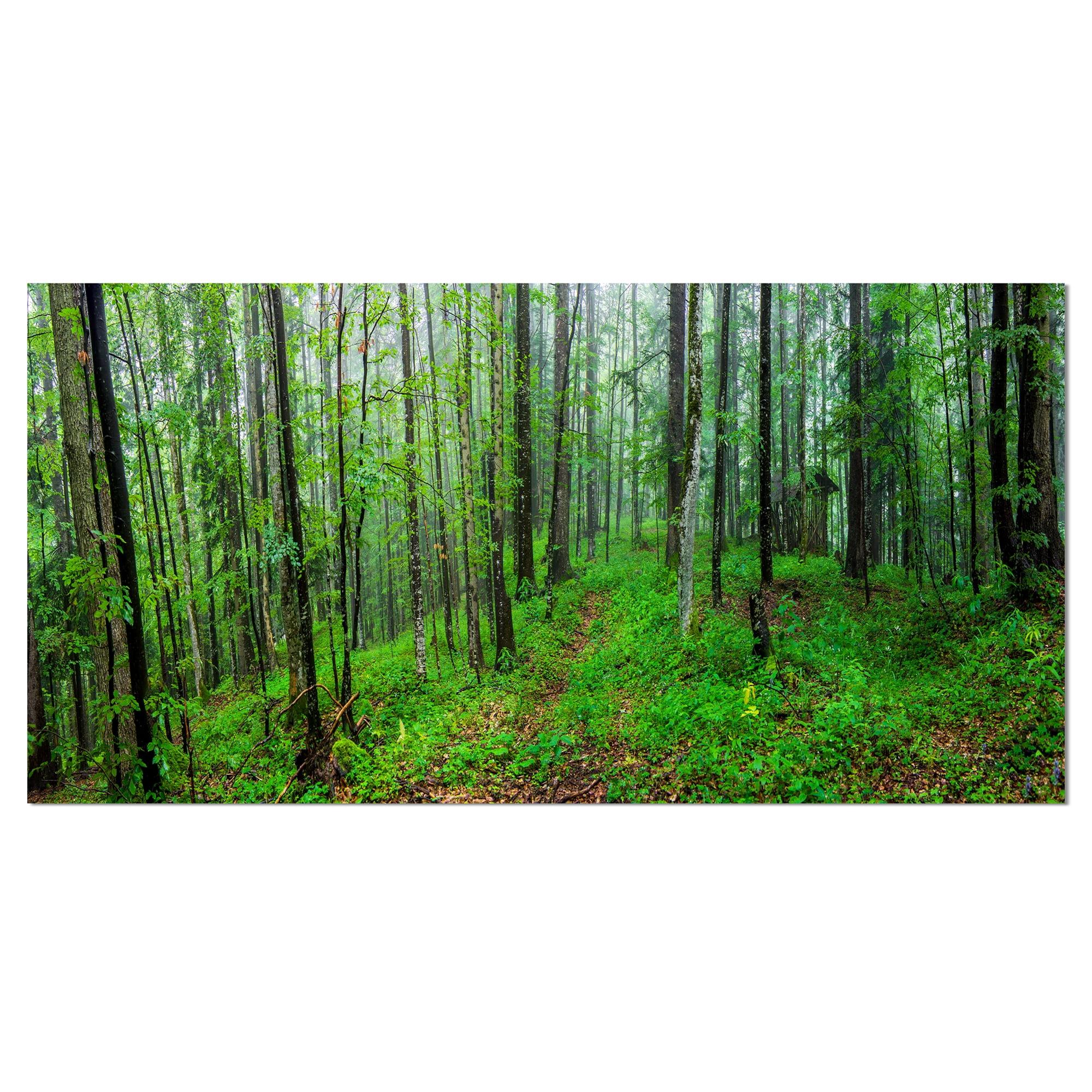 Green Wild Forest with Dense Trees Photographic Print on Wrapped Canvas