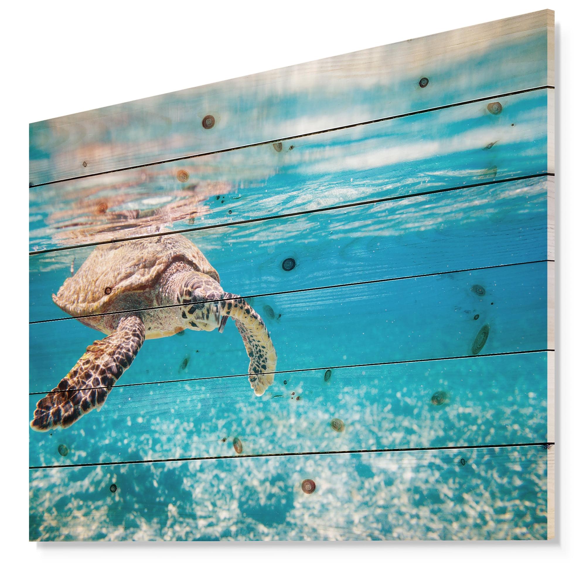 Large Hawksbill Sea Turtle Blue Pine Wood Wall Art