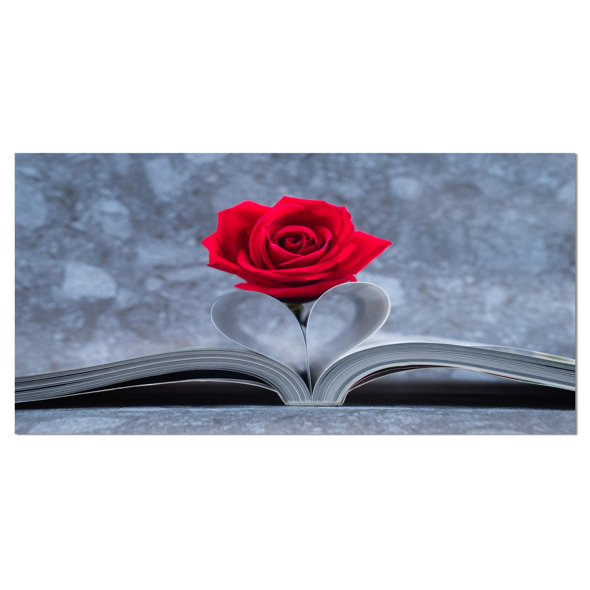 " Red Rose Inside The Book "