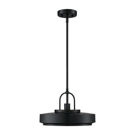 Designers Fountain Odea 14 inch 1-Light Matte Black Transitional Pendant Light, D295M-14P-MB