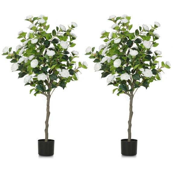 Primrue Primrue 49.2 Camellia Tree Plant (Set of 2)