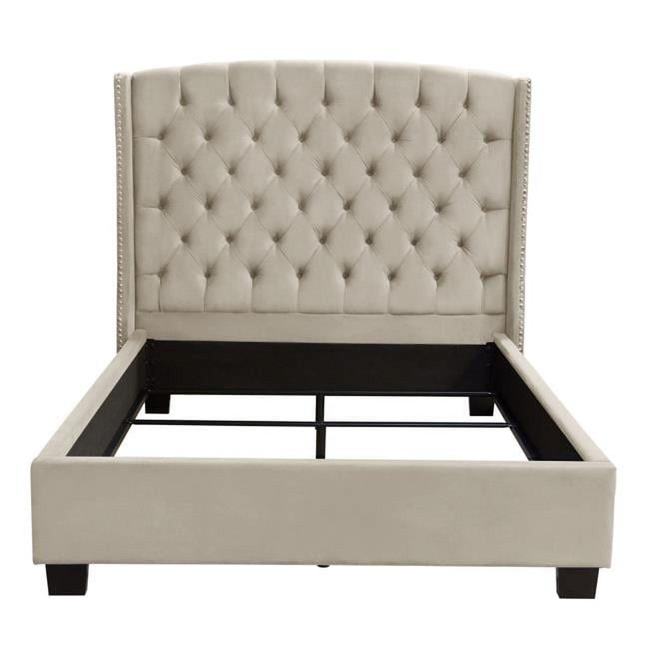 Queen Light Tan Velvet Tufted Upholstered Bed with Nailhead Trim