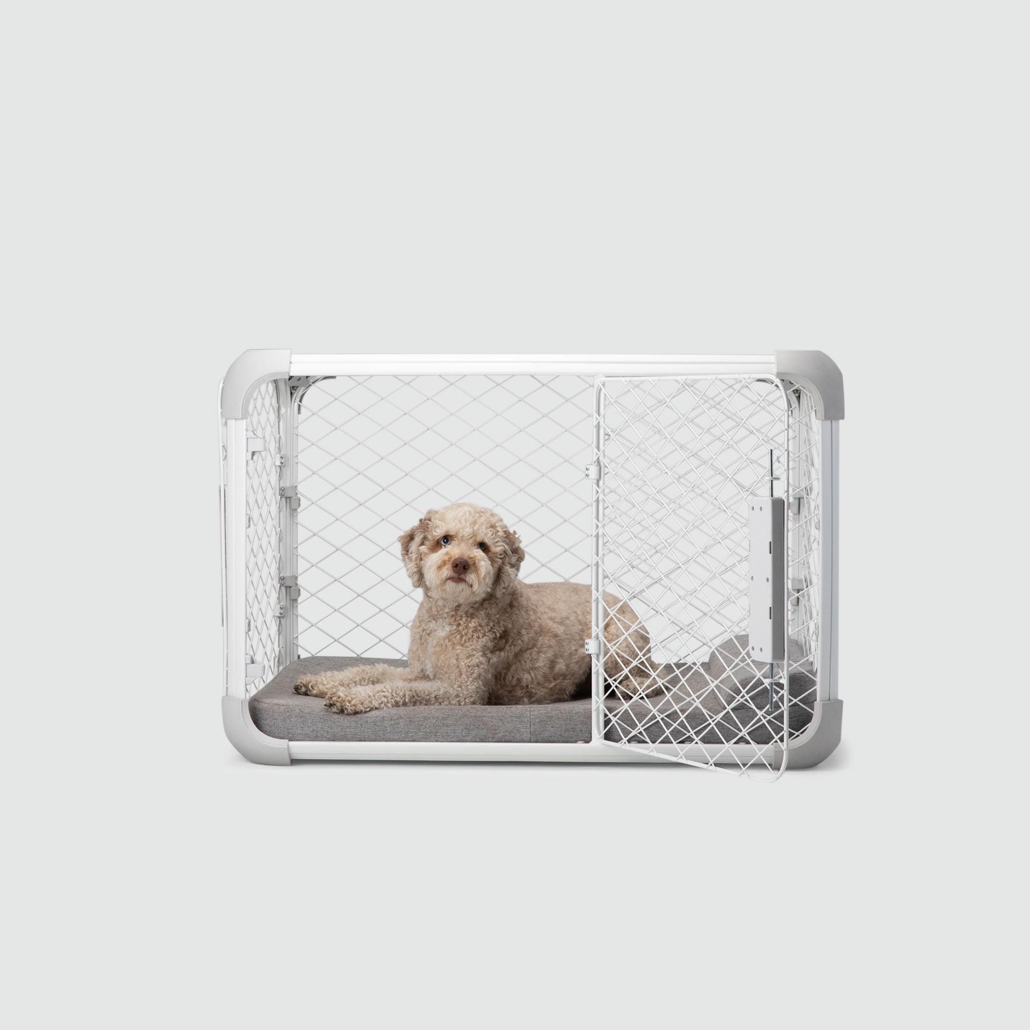 Evolv Modern 2-Door Dog Crate
