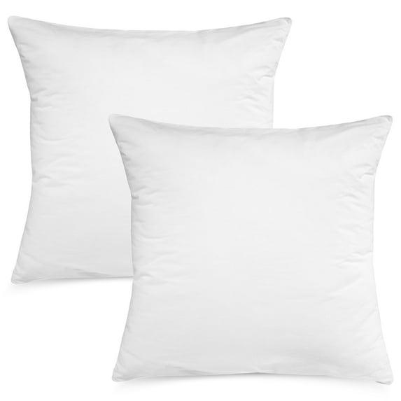 Bedding Throw Pillows Insert Set of 2 - 20 x 20 Inches Bed and Couch Pillows - Indoor Decorative Pillows