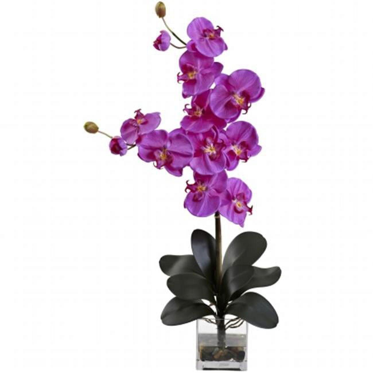 Elegant Orchid Phalaenopsis in Illusion Water Vase, 35" Height