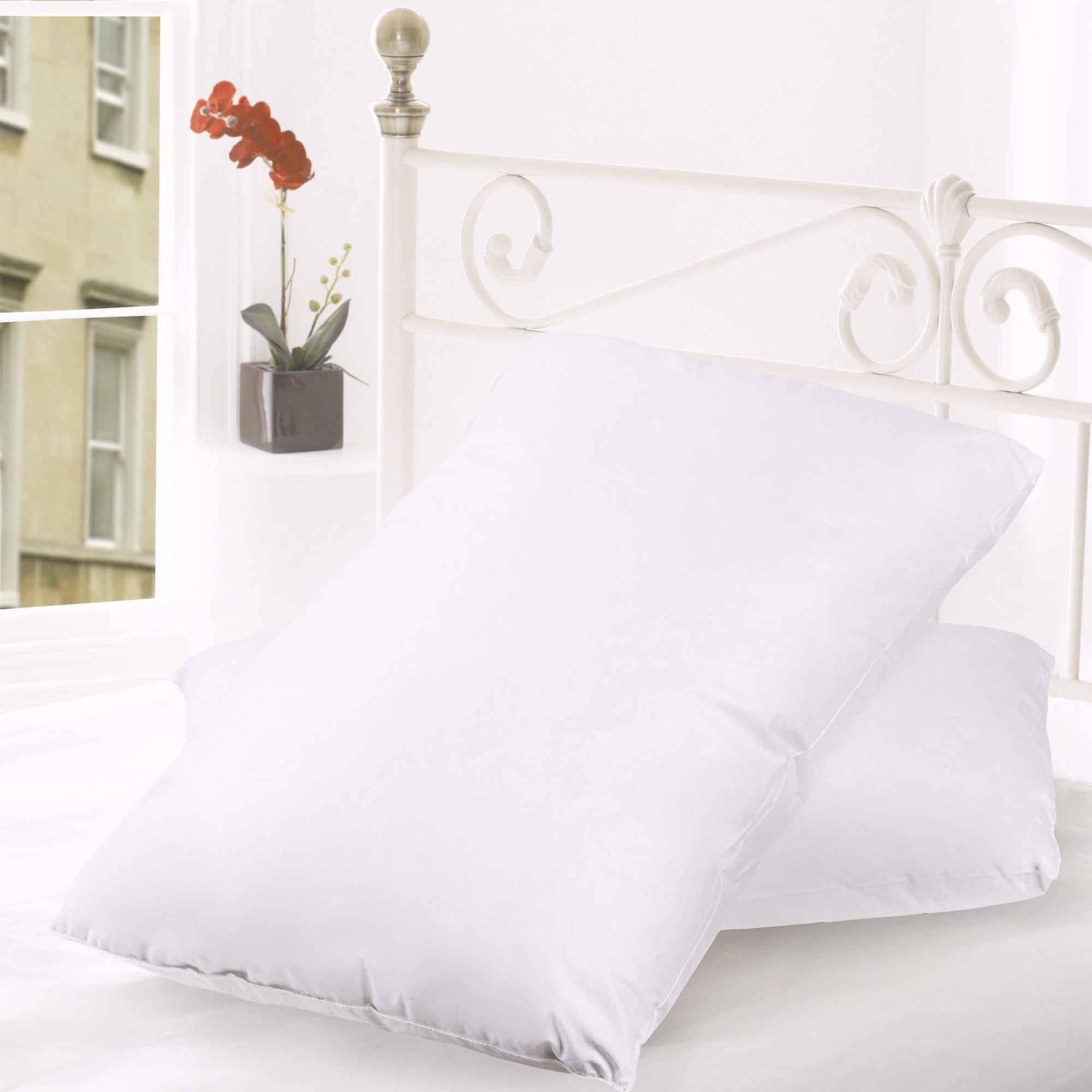 Standard White Cotton Goose Down Feather Bed Pillow Set