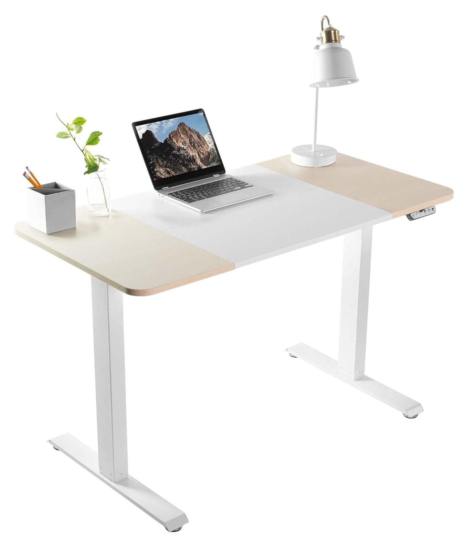 White and Light Wood Adjustable Electric Standing Desk