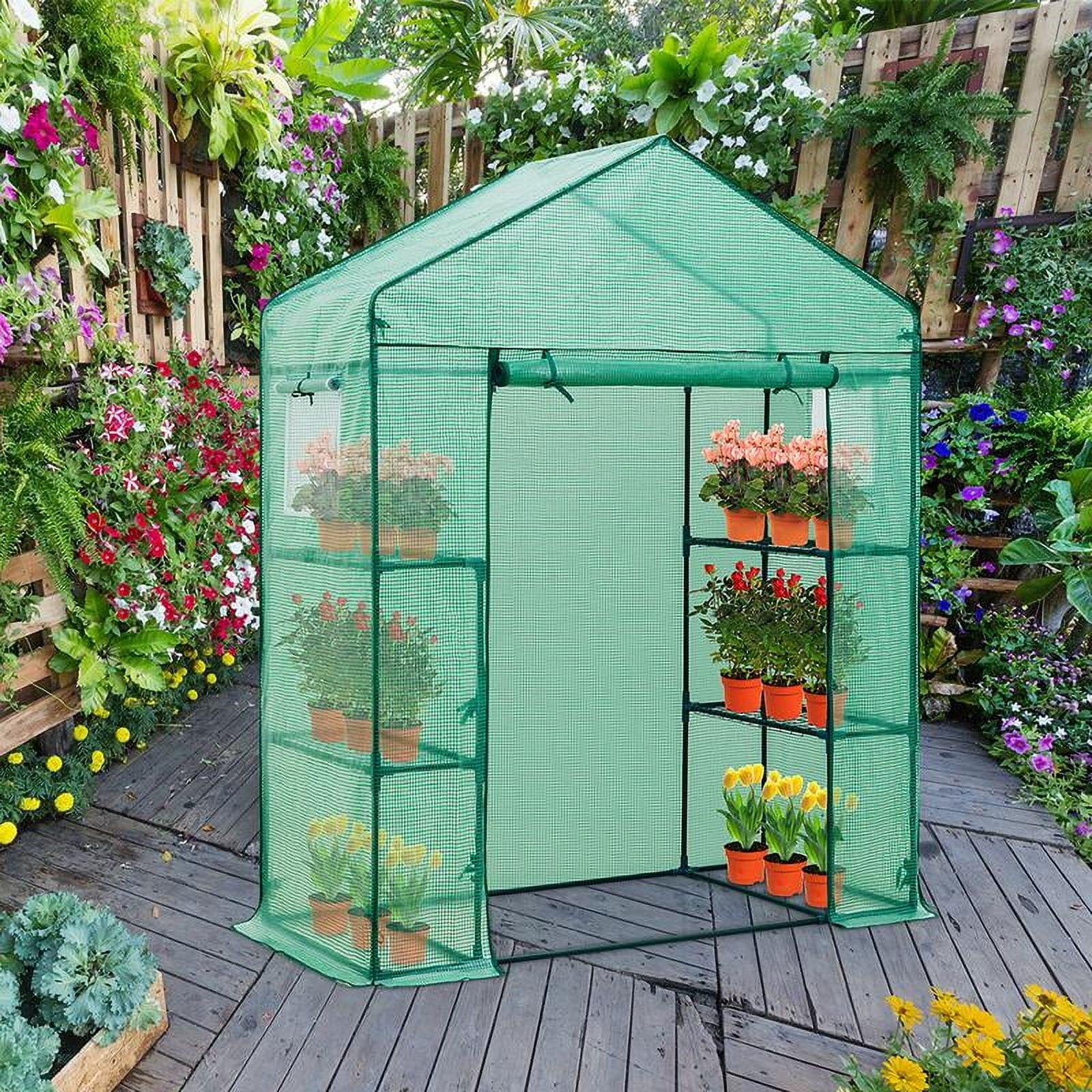 Eagle Peak 61'' x 28'' Green Walk-In Greenhouse with Shelves