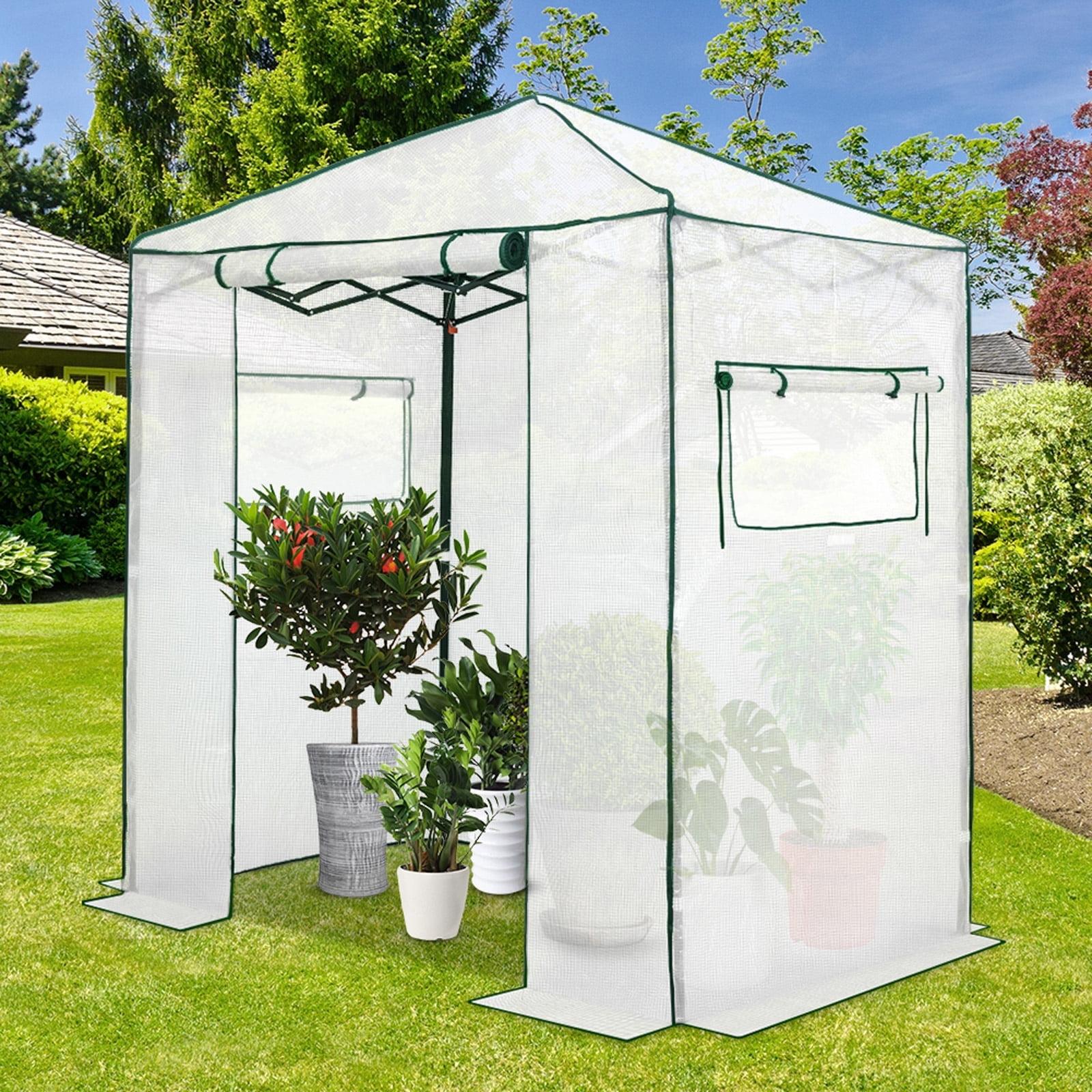 EAGLE PEAK Pop Up Greenhouses 6 ft x 4 ft Greenhouse