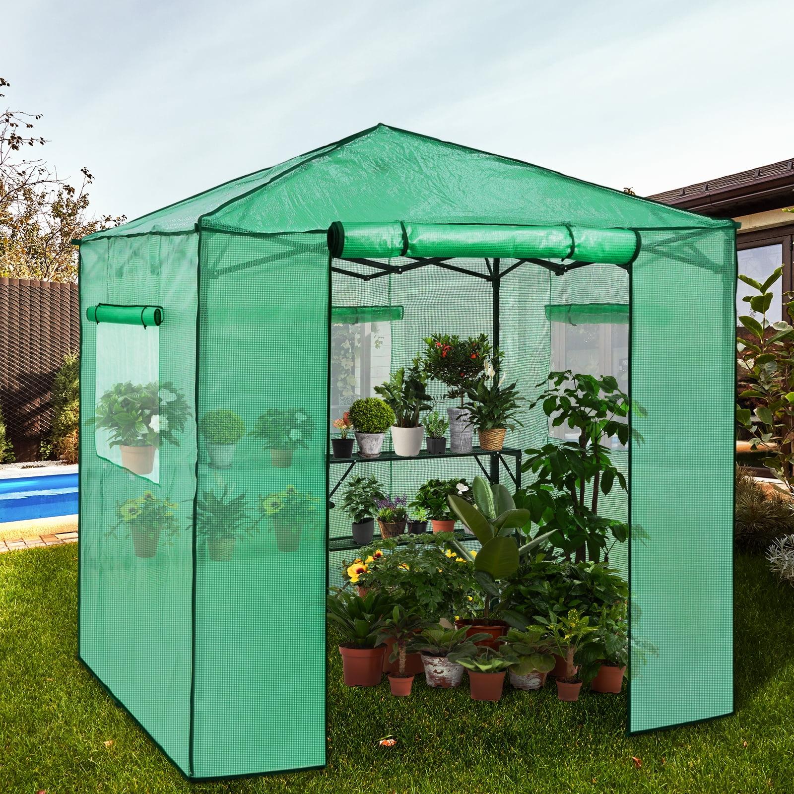 Eagle Peak 7x7 Green Pop-Up Walk-In Greenhouse with Shelves