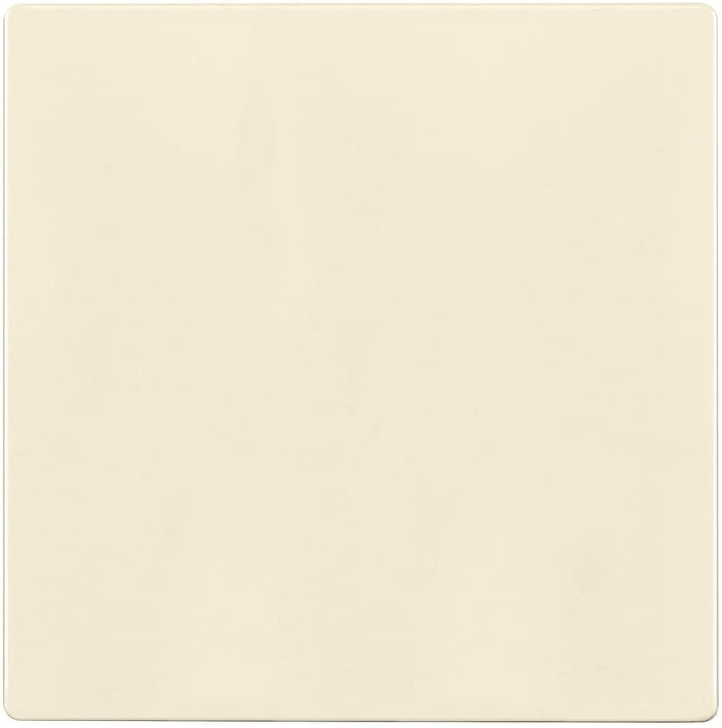 Light Almond 2-Gang Screwless Blank Wall Plate