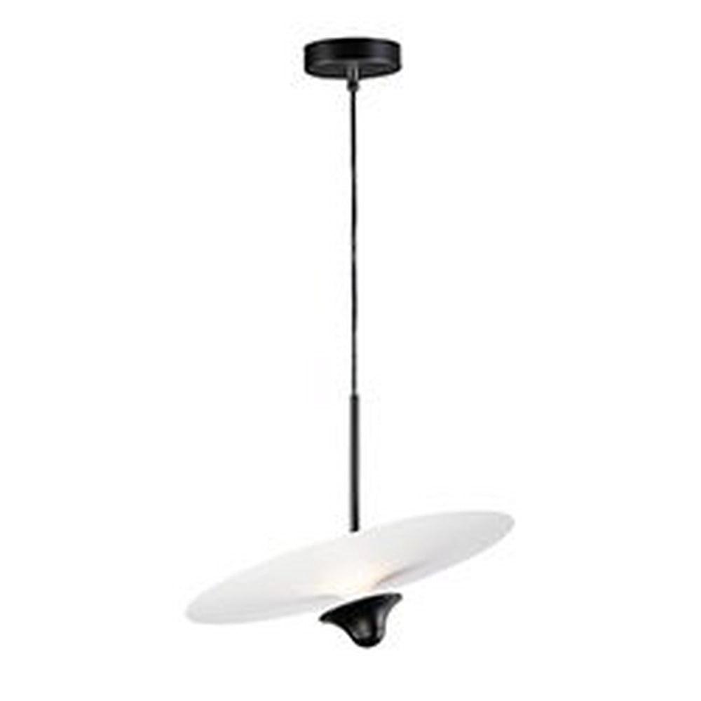 Black Aluminum LED Adjustable Pendant Light