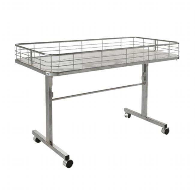 Econoco DT48 - C Folding Dump Table
