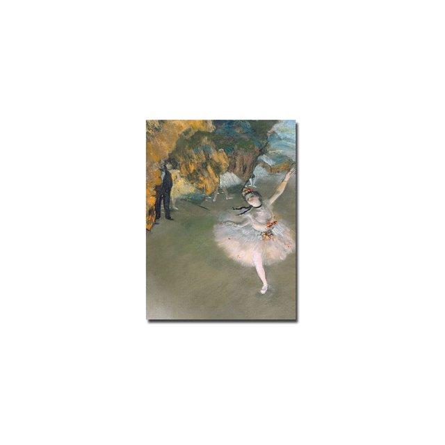 Vault W Artwork " The Star, 1876 " by Edgar Degas Painting Print