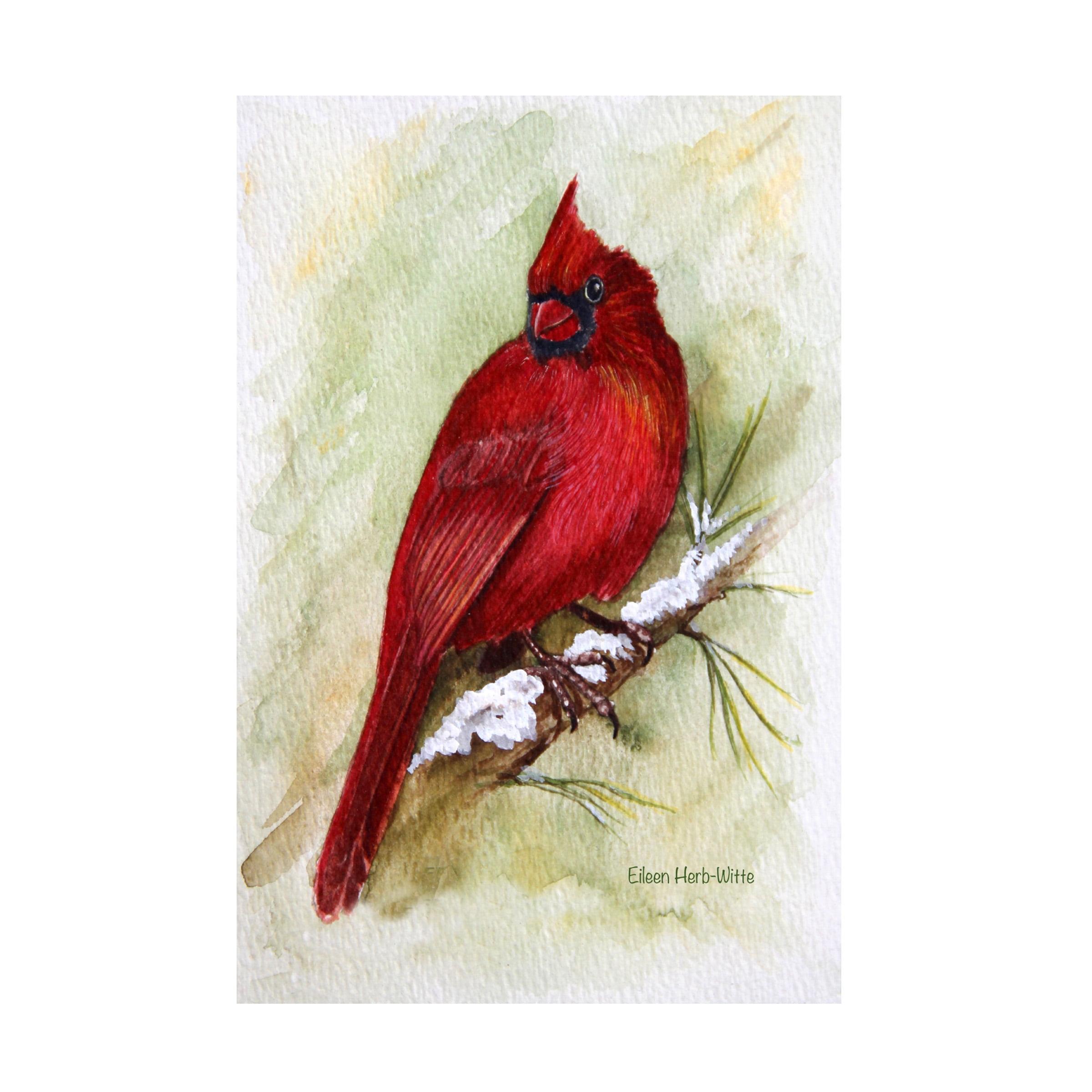 Cardinal on Snowy Branch Red and White Canvas Art