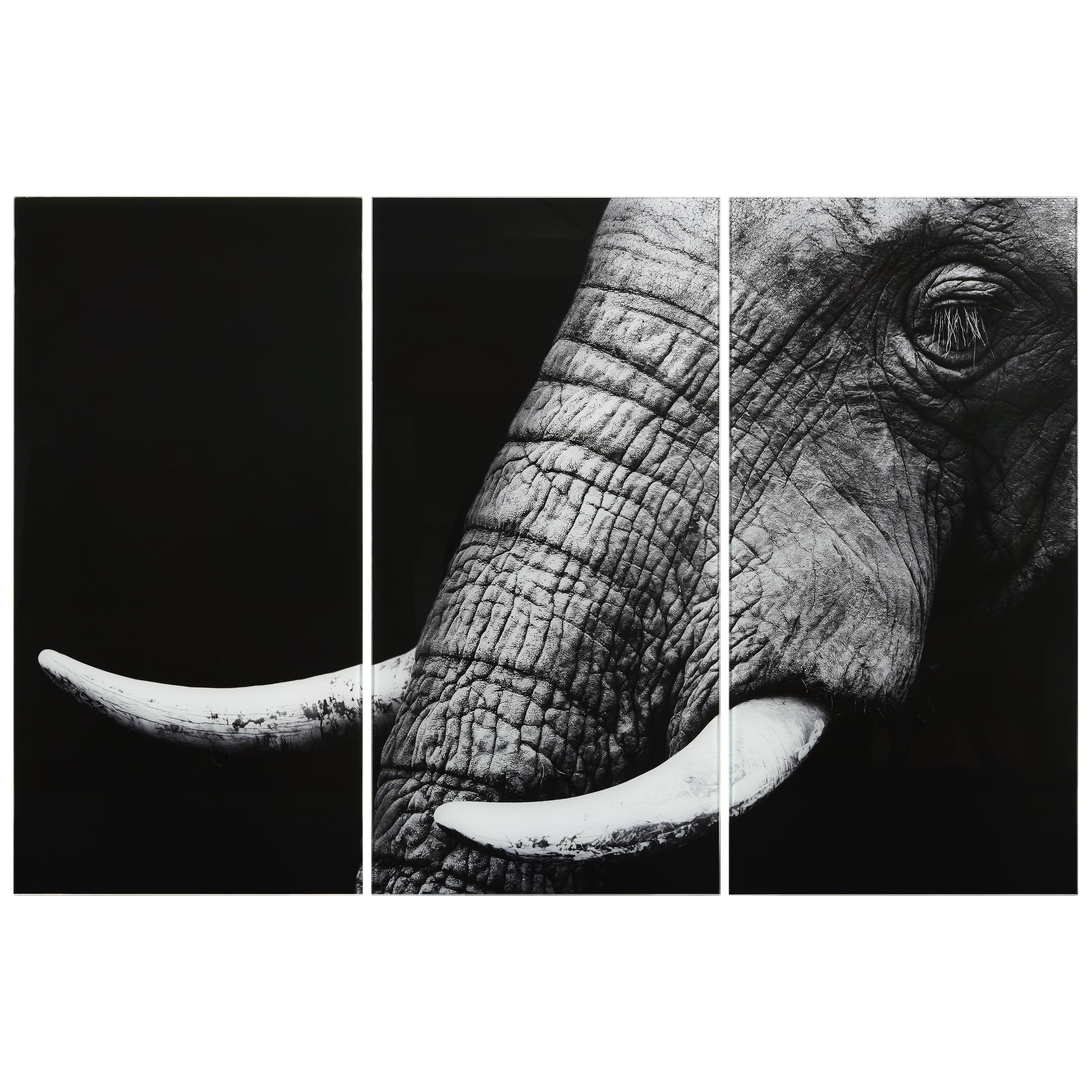 Empire Art Direct " Elephant ABC " 3 - Pieces Painting Print