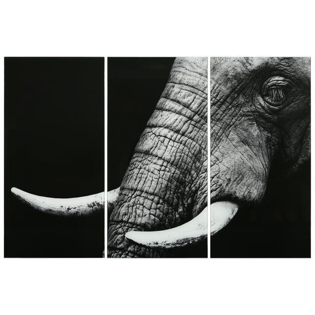 Empire Art Direct " Elephant ABC " 3 - Pieces Painting Print