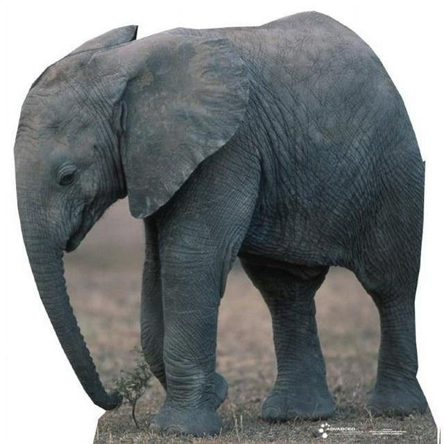 Advanced Graphics Animals 55'' Animals Cardboard Standup