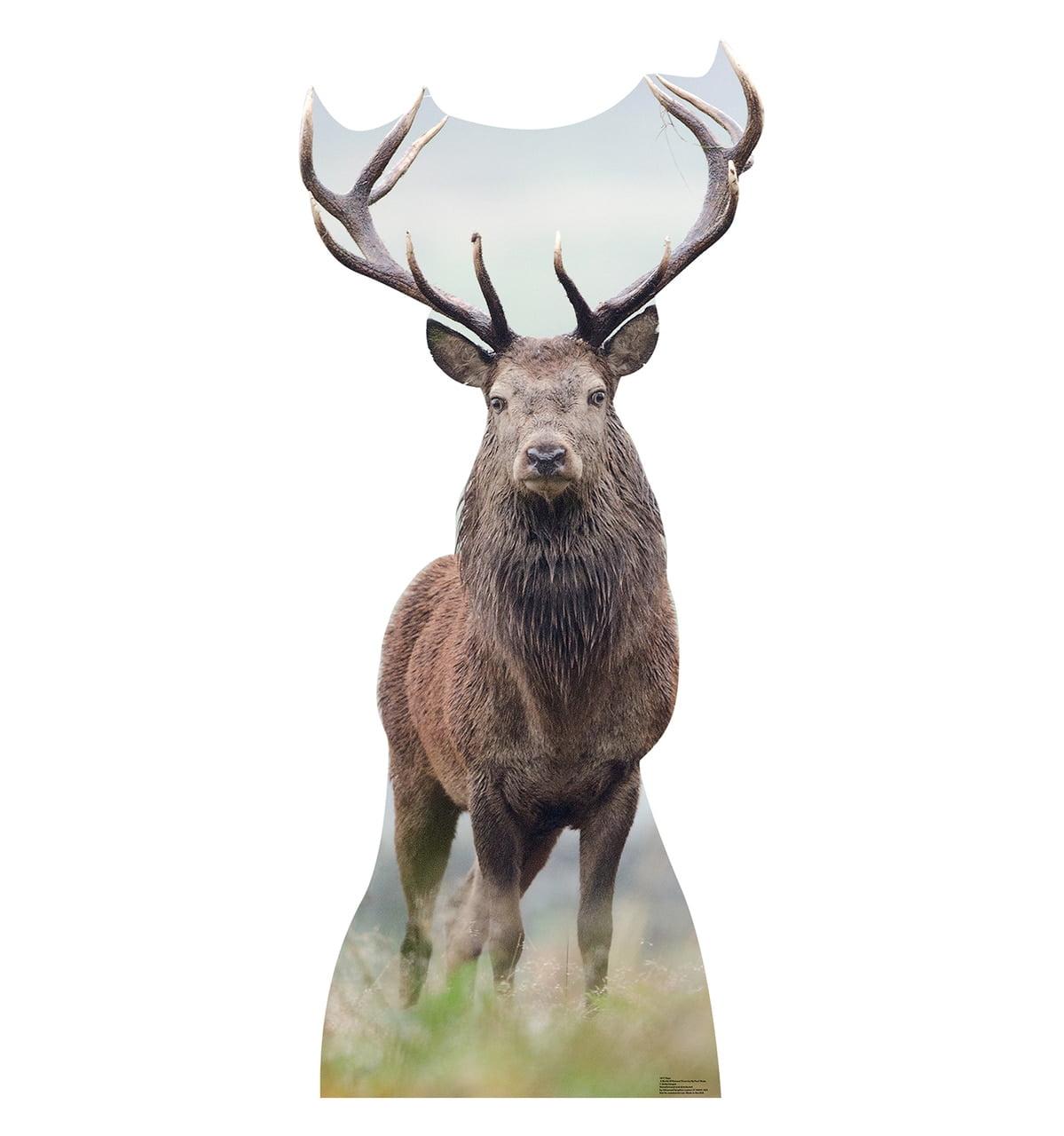 Life-Size Deer Cardboard Standup with Antlers