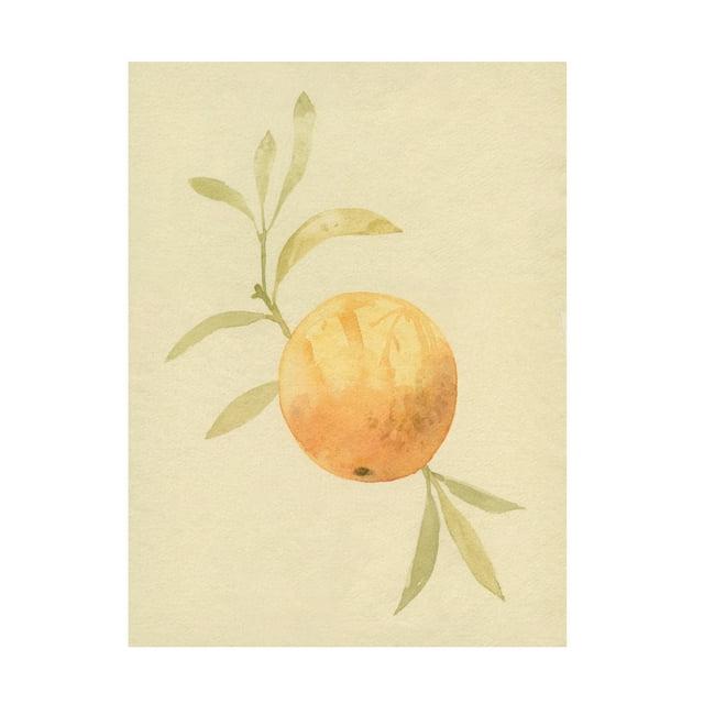 Emma Caroline 'Dappled Oranges IV' Canvas Art