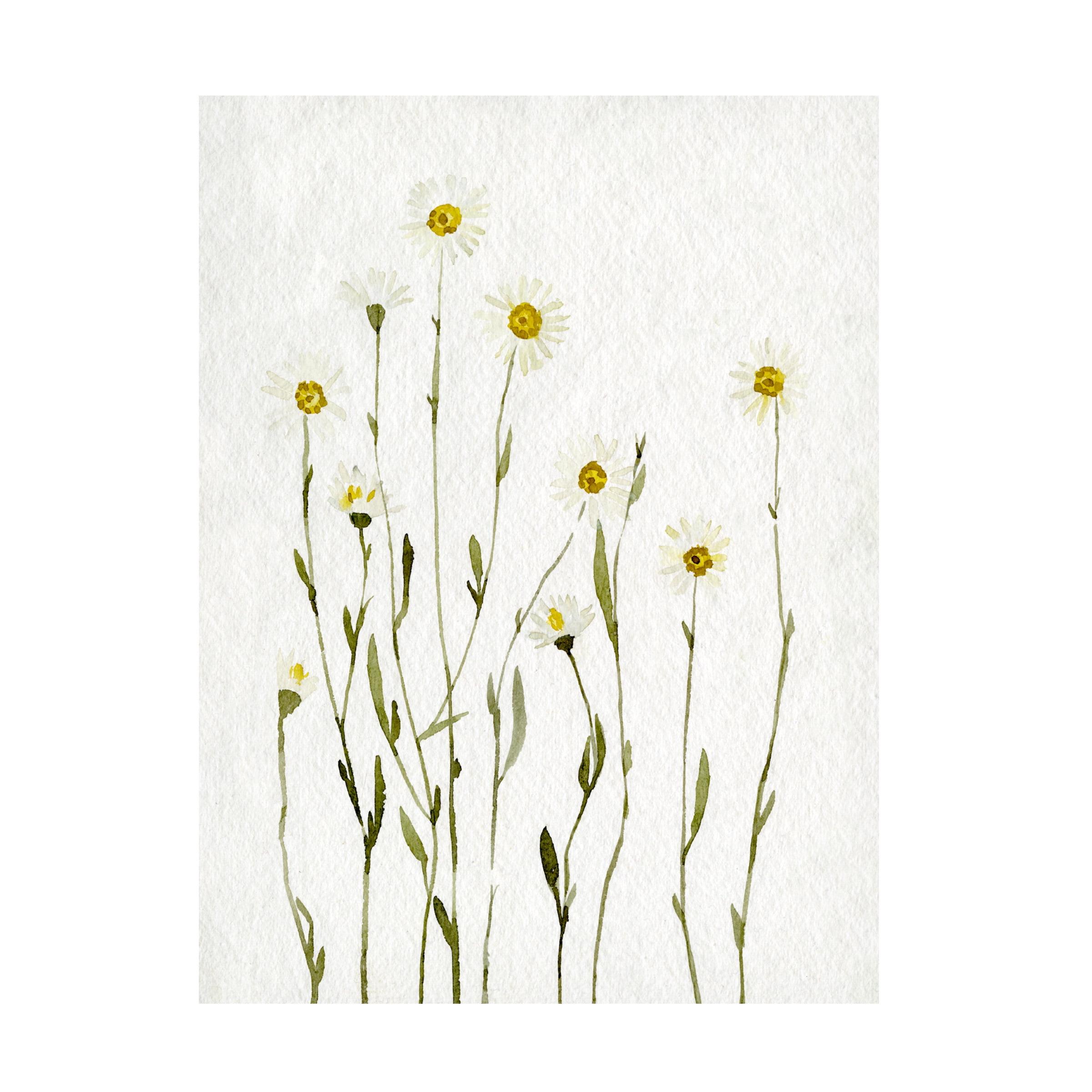 Red Barrel Studio® " White Antique Daisies I " by Emma Caroline