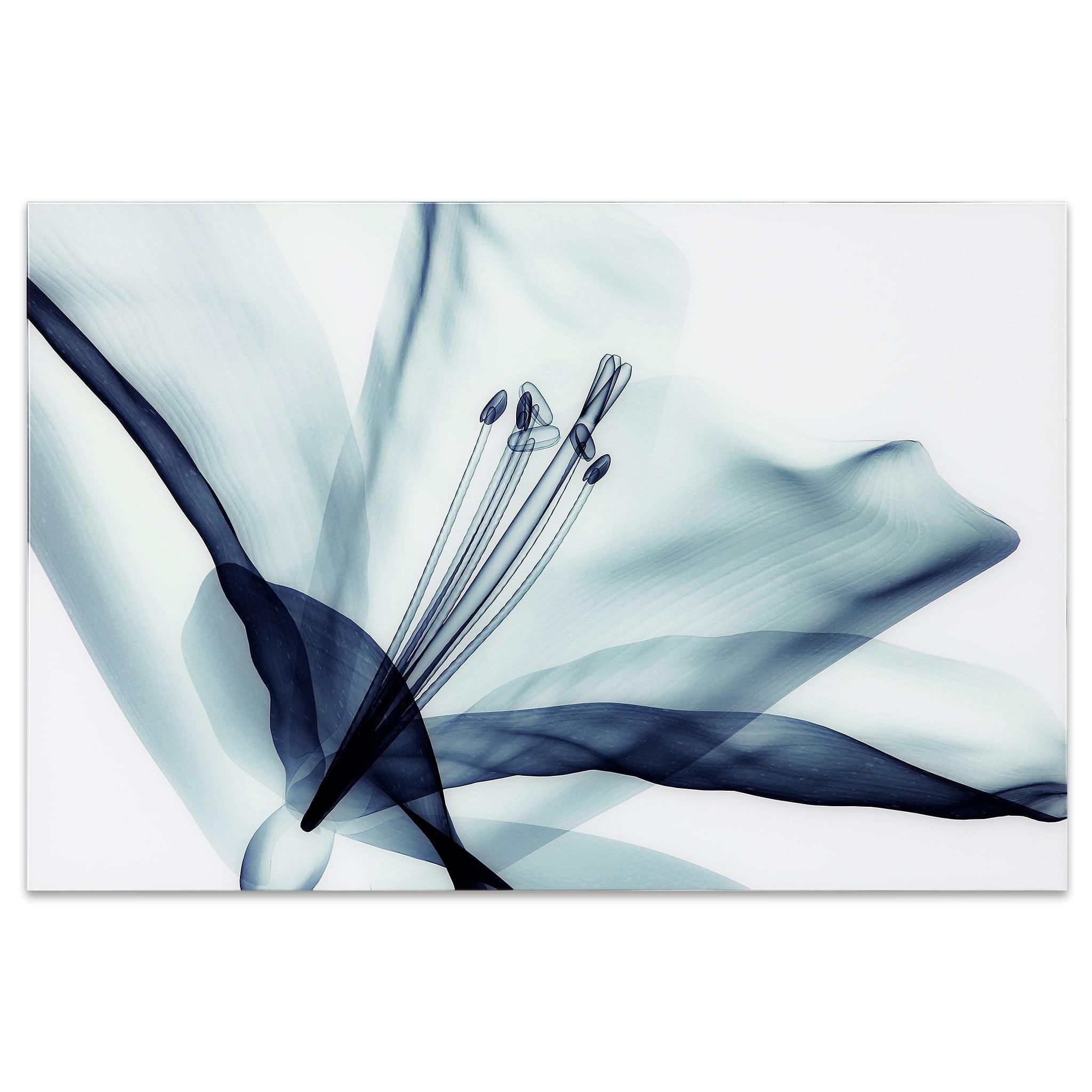 Amaryllis Blue Flower Frameless Tempered Glass Wall Art, 32" x 48"