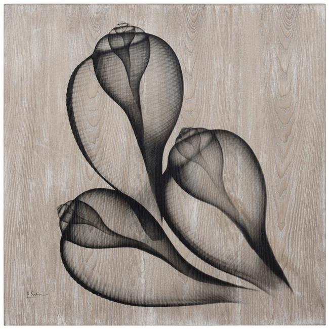 Empire Art Direct  Coastal Serenity II Fine Radiographic Photography Hi Definition Giclee Printed Directly on Hand Finished Ash Wood Wall Art by Albert Koetsier
