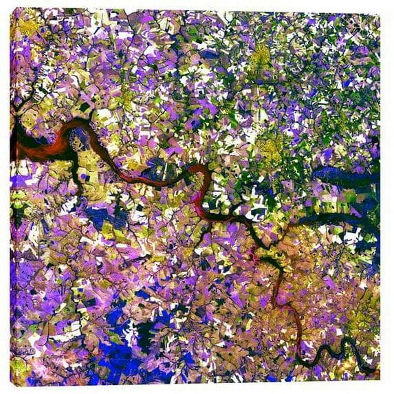 World Menagerie " Tessera Mosaic "