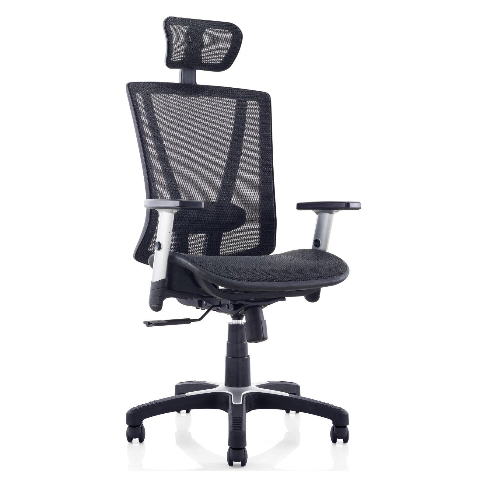 ErgoFlex Executive High-Back Black Mesh Swivel Chair with Adjustable Arms