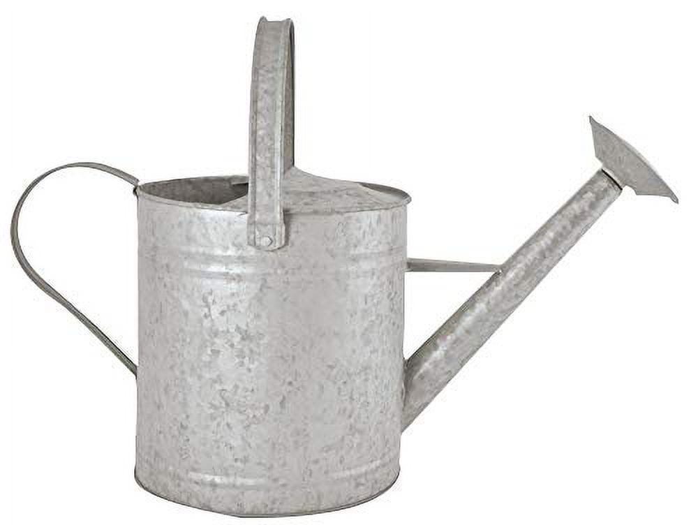 Medium Galvanized Zinc Metal Watering Can with Nozzle