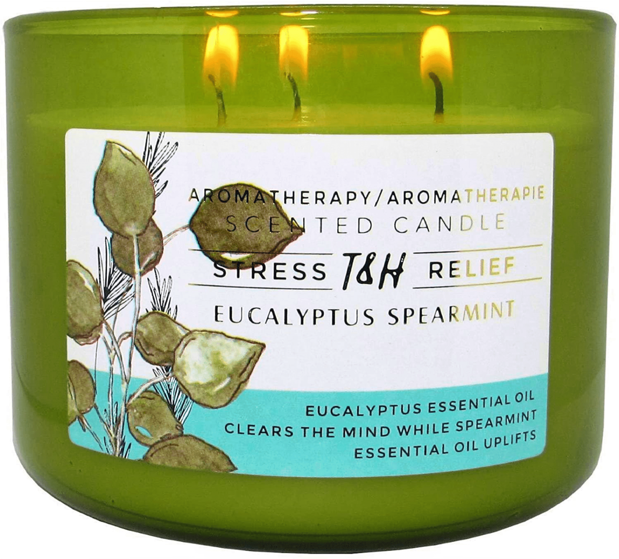T&H Wholesalers Eucalyptus Spearmint Scented Soy Candle 3 Wick Aromatherapy Candle for Women and Men
