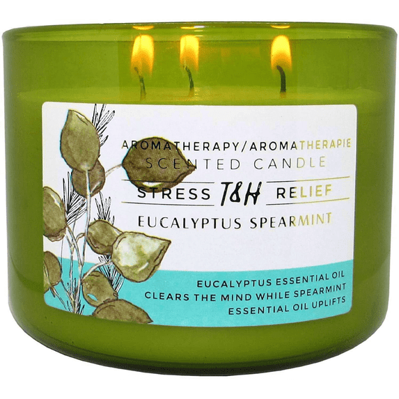 T&H Wholesalers Eucalyptus Spearmint Scented Soy Candle 3 Wick Aromatherapy Candle for Women and Men