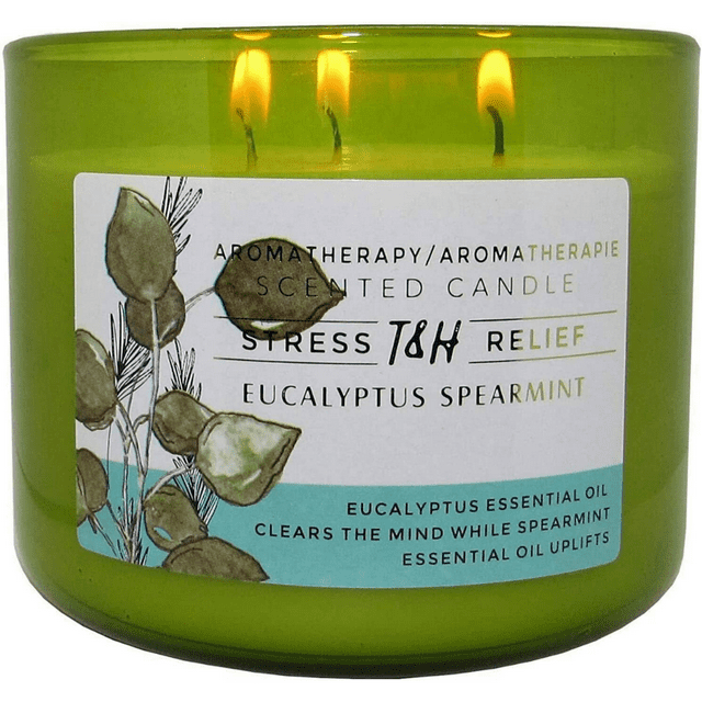 T&H Wholesalers Eucalyptus Spearmint Scented Soy Candle 3 Wick Aromatherapy Candle for Women and Men
