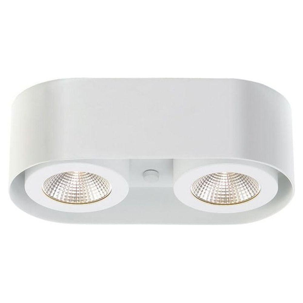 White Glass LED Indoor/Outdoor Flush Mount Light