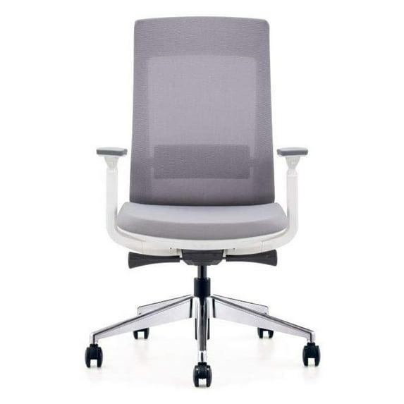 Eurotech Elevate Ergonomic Adjustable Office Chair, White Frame Gray Mesh