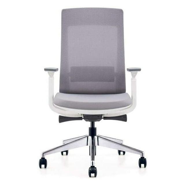 Eurotech Elevate Ergonomic Adjustable Office Chair, White Frame Gray Mesh