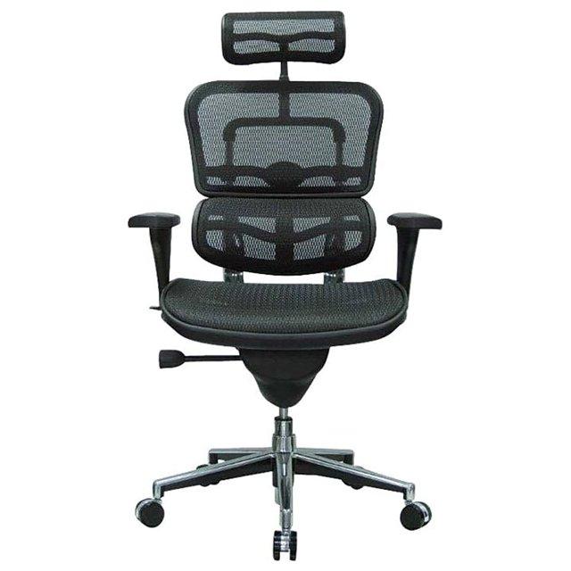 Eurotech Seating Ergohuman Executive Chair with Headrest