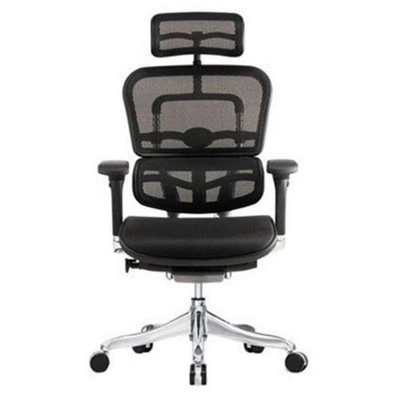 Eurotech Seating Ergohuman Executive Chair with Headrest