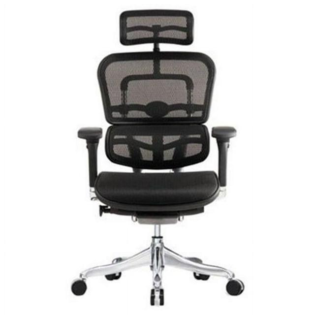 Eurotech Seating Ergohuman Executive Chair with Headrest