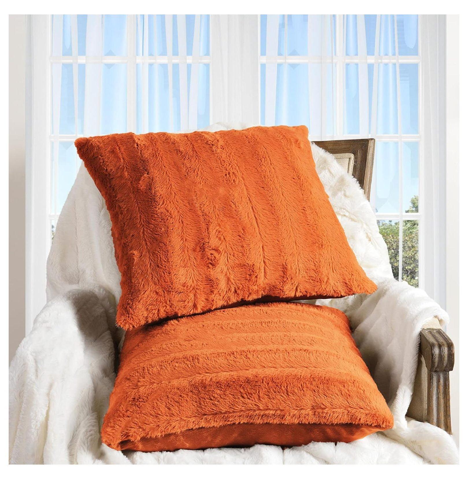 Cheer Collection FRBIN Square Pillow Cover & Insert (Set of 2)